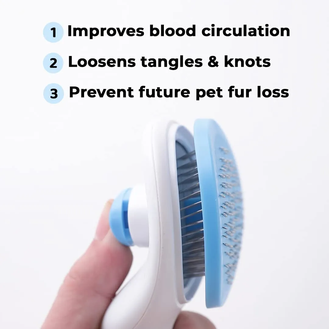 Kuber Industries Dog Brush|Dog Brush for Hair Cleaning|De-tangling|& Grooming|Helps Prevent Fur Loss Upto 90% by Increasing Blood Circulation|Suitable for Small & Medium Pets|PT213B|Pack Of 6|Blue